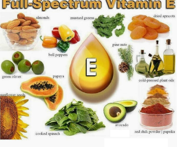 wellhealthorganic.com:vitamin-e-health-benefits-and-nutritional-sources