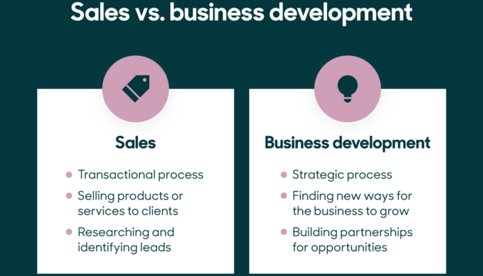 What is Business Development?